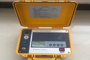 SG3025（E）絕緣電阻測試儀-揚州達瑞