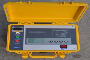 S2675DN絕緣電阻測試儀-揚州達瑞